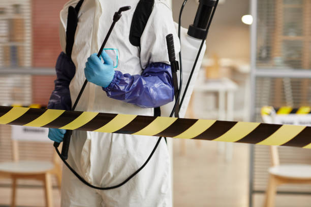 Professional Biohazard technician working in Mckenna, WA